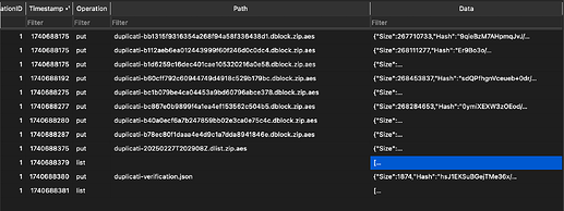 Screenshot 2025-02-28 at 15.33.29