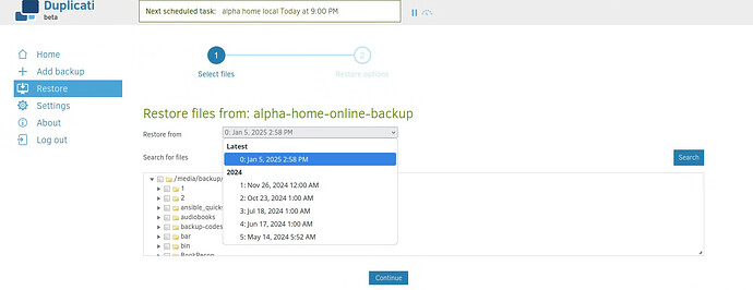 duplicati_other_backup_to_b2_showing_filesets