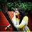 divya_c_h